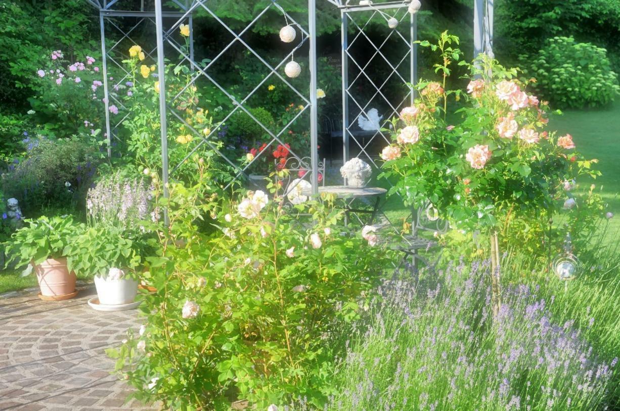 Ferienwohnung Im Rosengarten Ebenweiler Εξωτερικό φωτογραφία